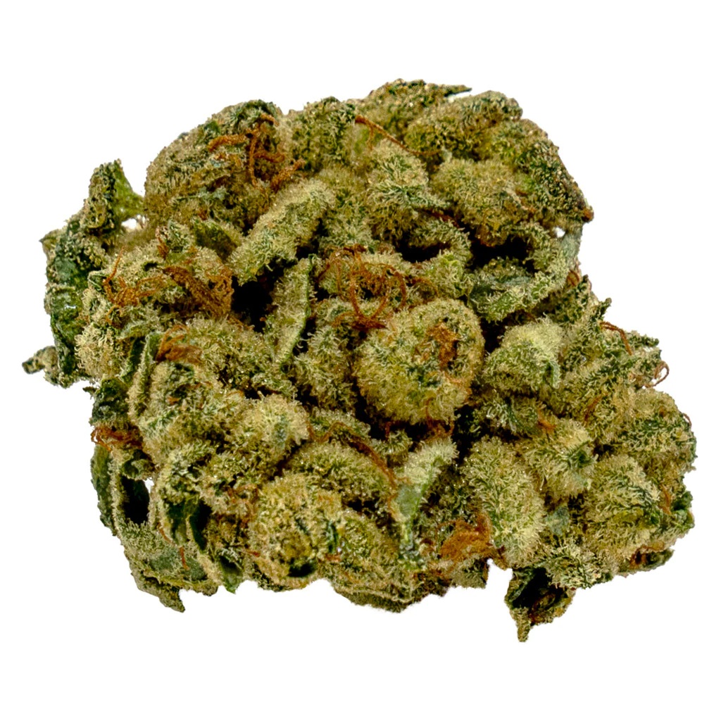 GG#4
